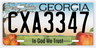 GA license plate CXA3347