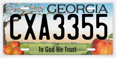 GA license plate CXA3355