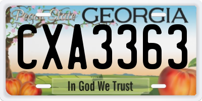 GA license plate CXA3363