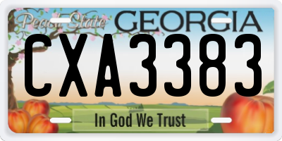 GA license plate CXA3383