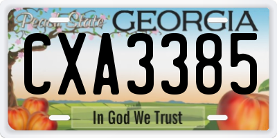 GA license plate CXA3385