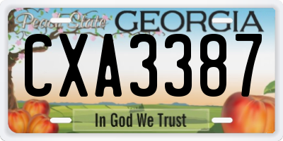 GA license plate CXA3387