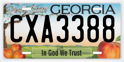 GA license plate CXA3388