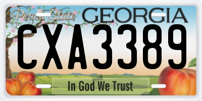 GA license plate CXA3389