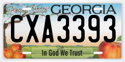 GA license plate CXA3393