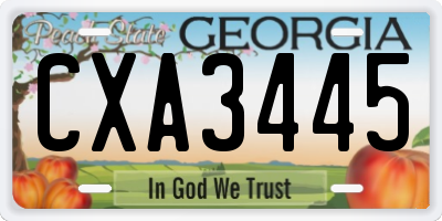 GA license plate CXA3445
