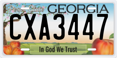 GA license plate CXA3447