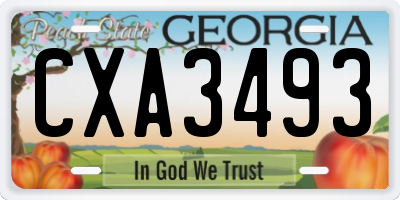 GA license plate CXA3493