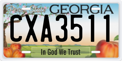 GA license plate CXA3511