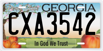 GA license plate CXA3542