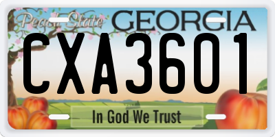 GA license plate CXA3601