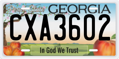 GA license plate CXA3602