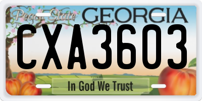 GA license plate CXA3603