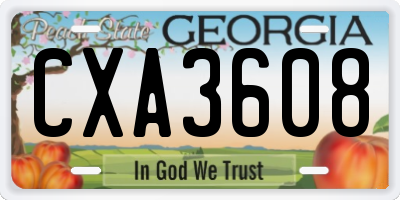 GA license plate CXA3608