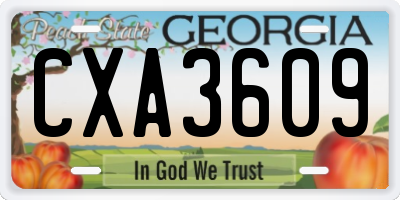 GA license plate CXA3609