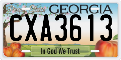 GA license plate CXA3613