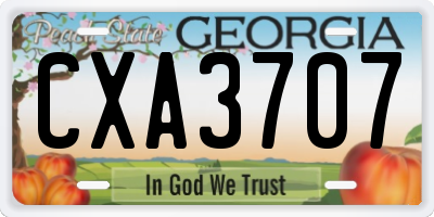 GA license plate CXA3707