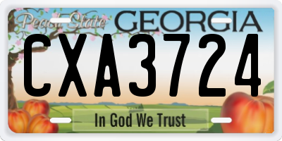GA license plate CXA3724