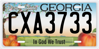 GA license plate CXA3733
