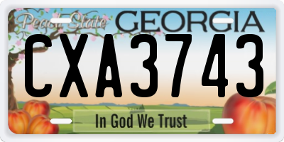 GA license plate CXA3743