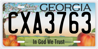GA license plate CXA3763