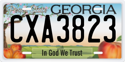 GA license plate CXA3823
