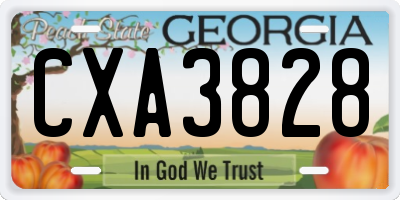 GA license plate CXA3828