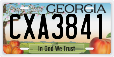 GA license plate CXA3841