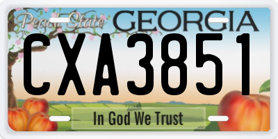 GA license plate CXA3851