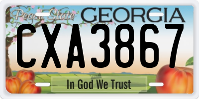 GA license plate CXA3867
