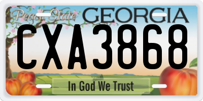GA license plate CXA3868