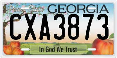 GA license plate CXA3873