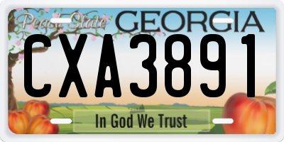 GA license plate CXA3891