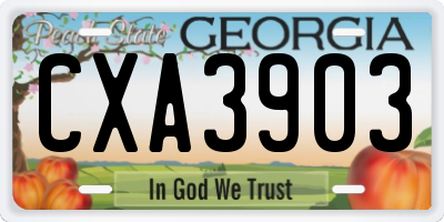 GA license plate CXA3903
