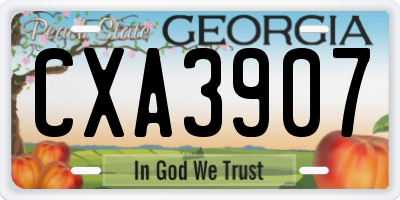GA license plate CXA3907