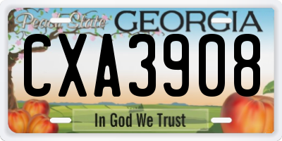 GA license plate CXA3908