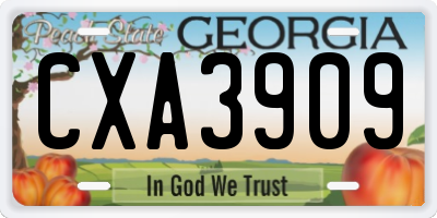 GA license plate CXA3909