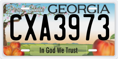 GA license plate CXA3973