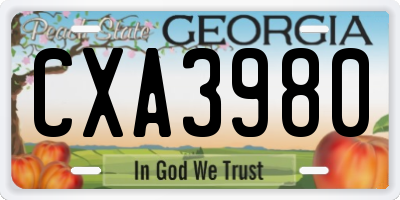 GA license plate CXA3980