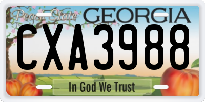 GA license plate CXA3988
