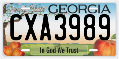 GA license plate CXA3989