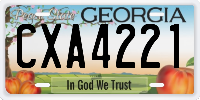 GA license plate CXA4221