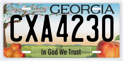 GA license plate CXA4230