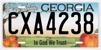 GA license plate CXA4238