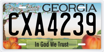 GA license plate CXA4239