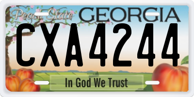 GA license plate CXA4244