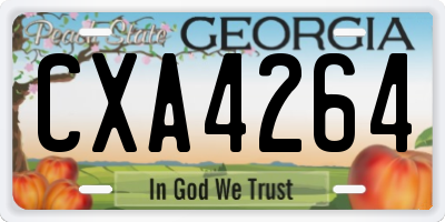 GA license plate CXA4264