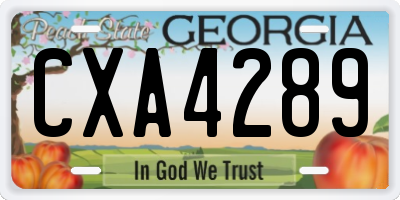GA license plate CXA4289