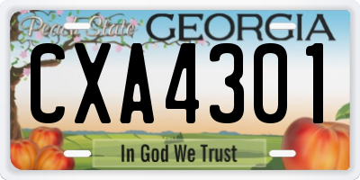 GA license plate CXA4301