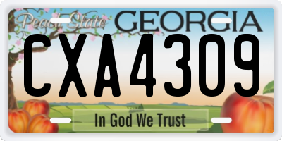 GA license plate CXA4309